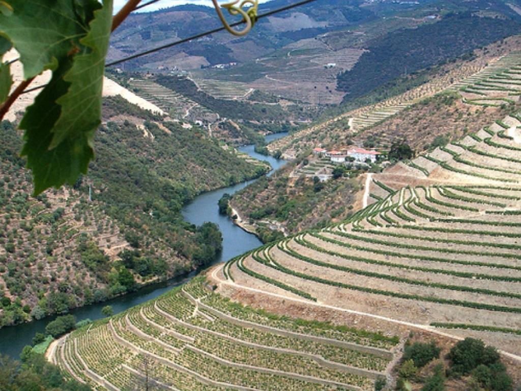 Douro House Loft Villa Tabuaco Ngoại thất bức ảnh